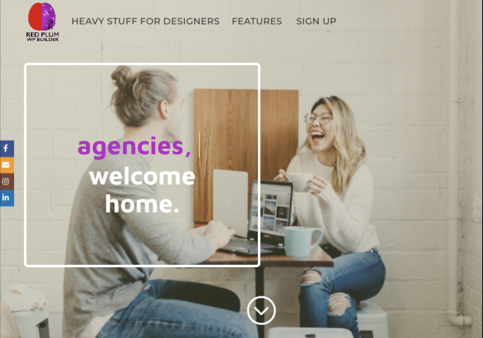 RedPlum website builder case study preview